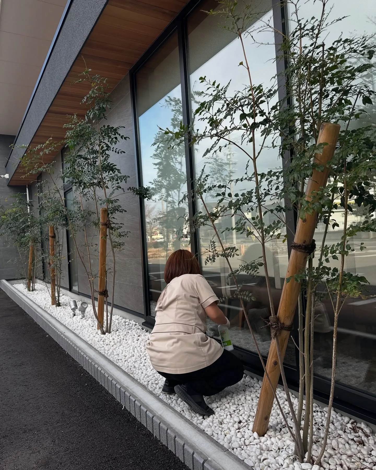 今日はクリニック内外の大掃除をしました🧹