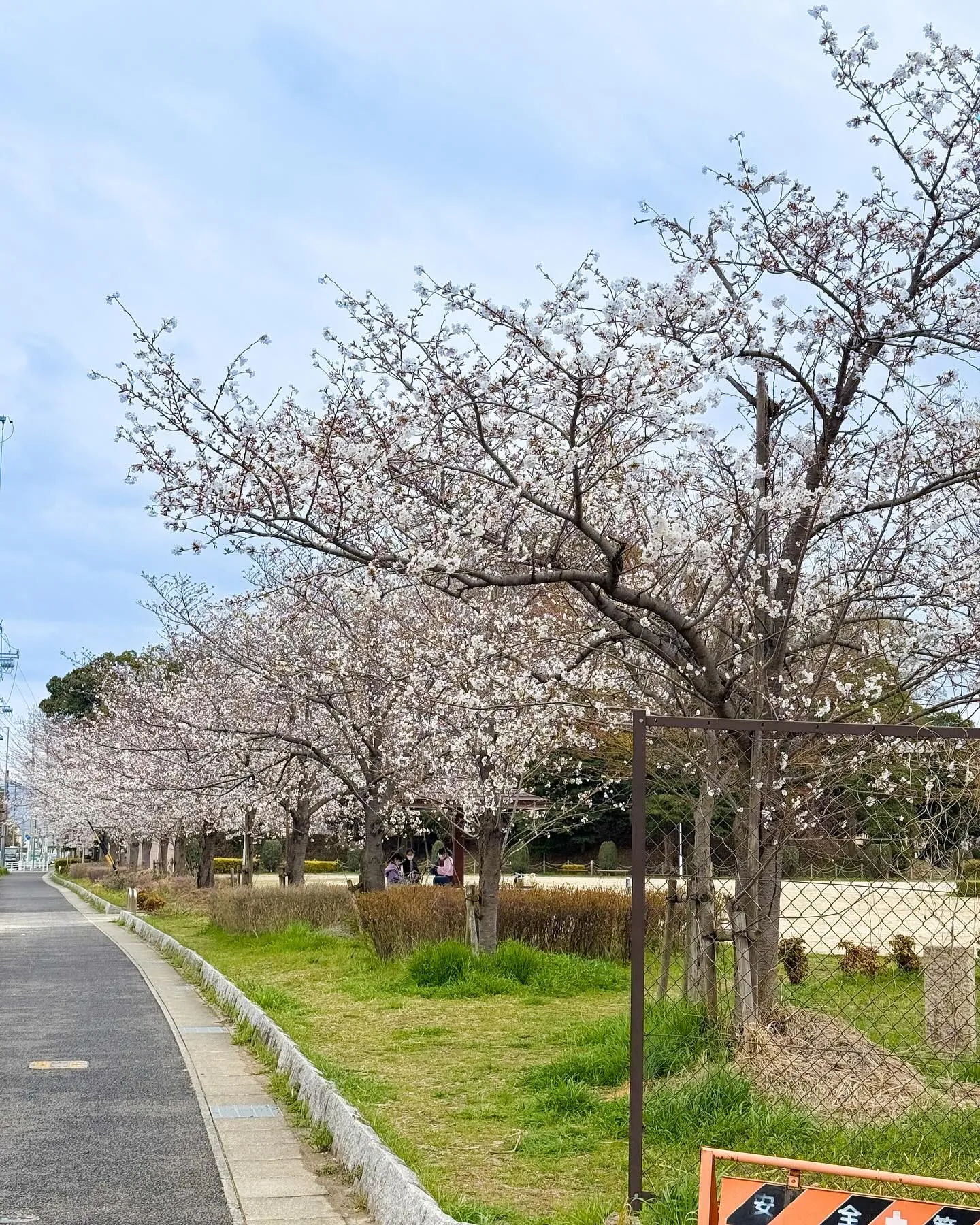 春日井市のながい歯科皮ふ科クリニックです🌸