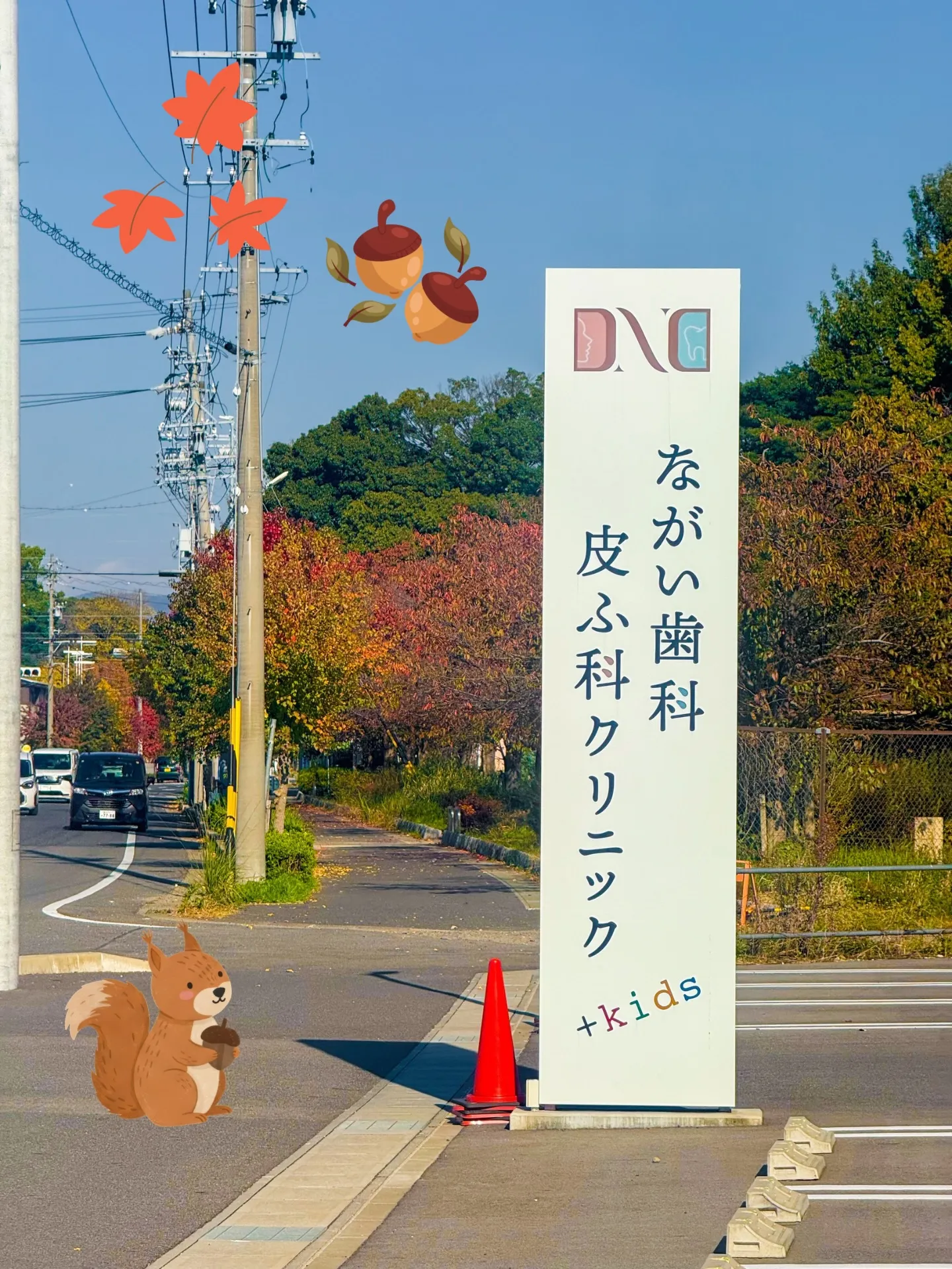 秋めいてきましたね🍁