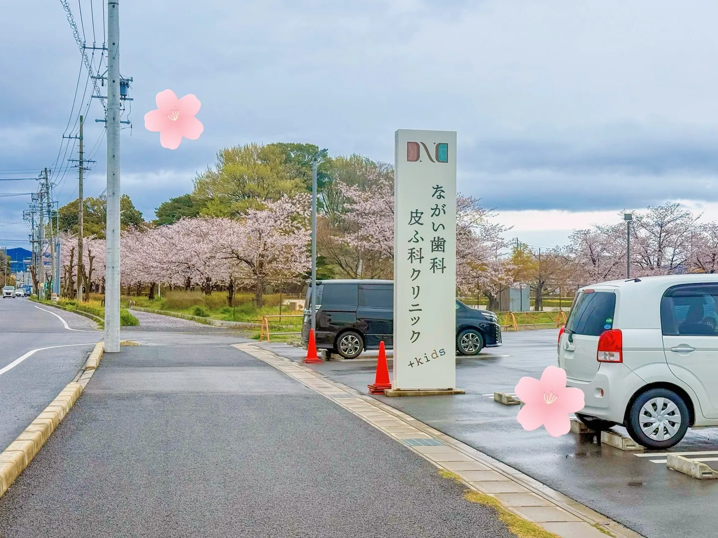 おとなりの公園に🌸