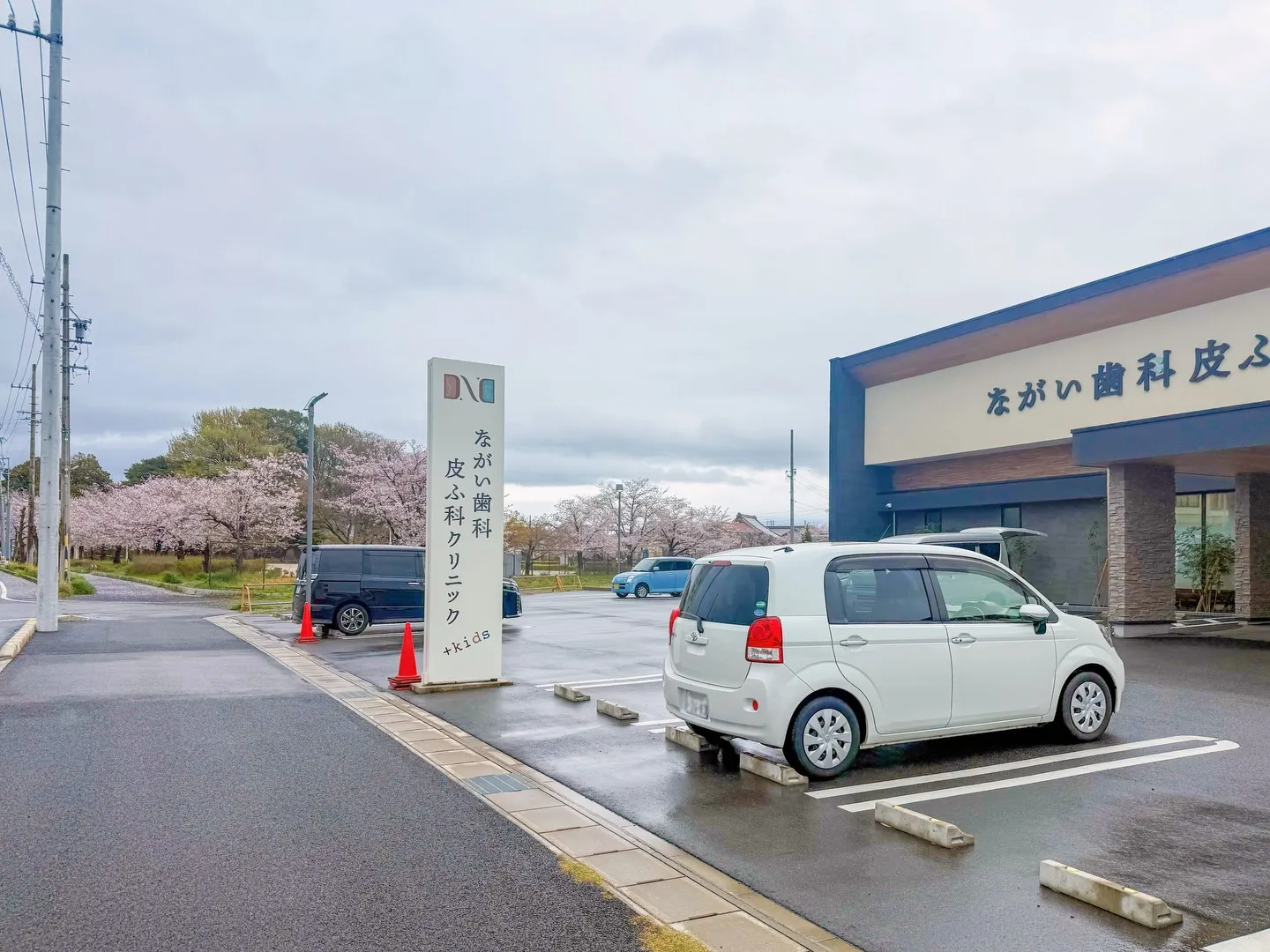 おとなりの公園に🌸